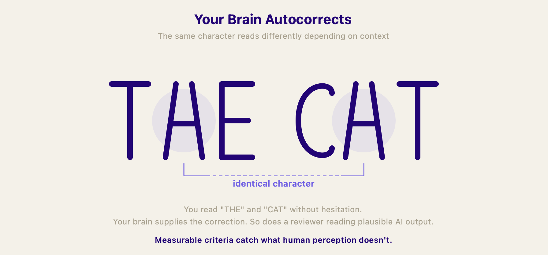 Illustration of the CAT/THE optical illusion demonstrating how the brain fills in expected information